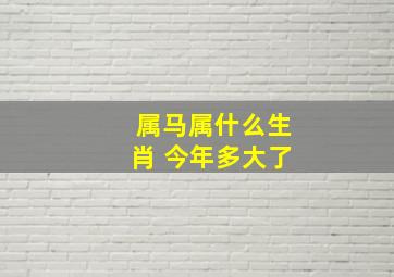 属马属什么生肖 今年多大了